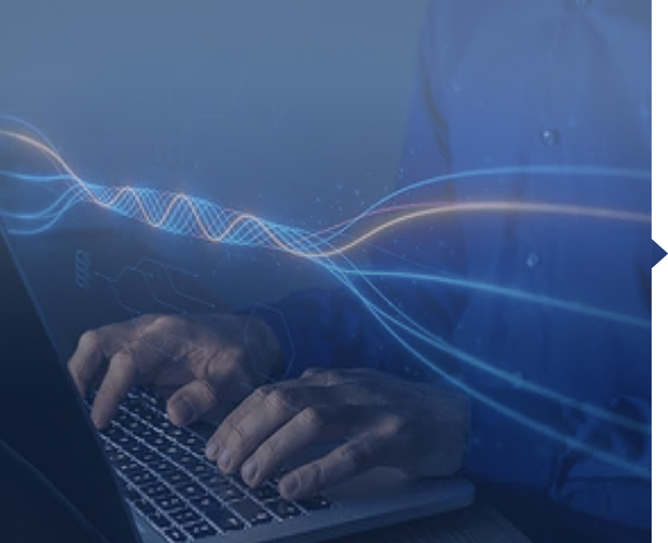 行业承载网解决方案